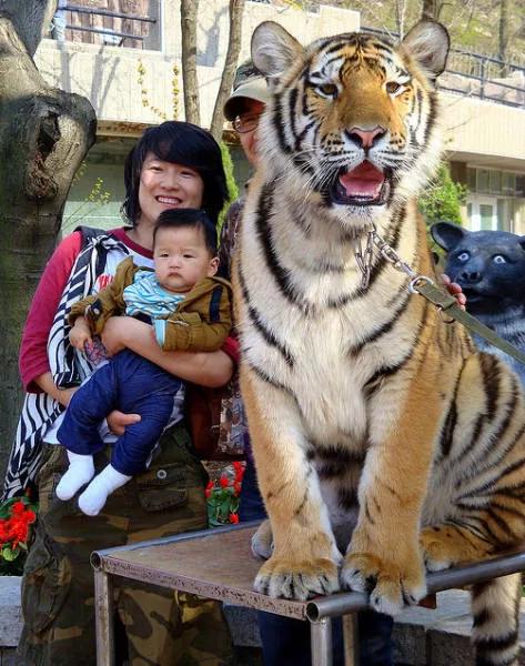 Welcome to china culture and contrast
