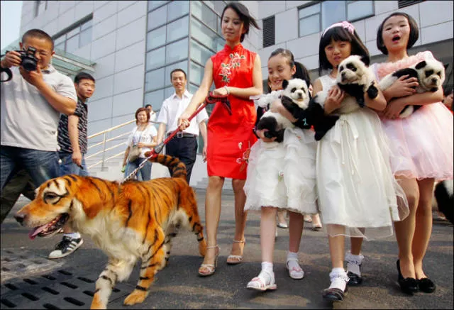 Bienvenue en chine culture et contraste - #4 