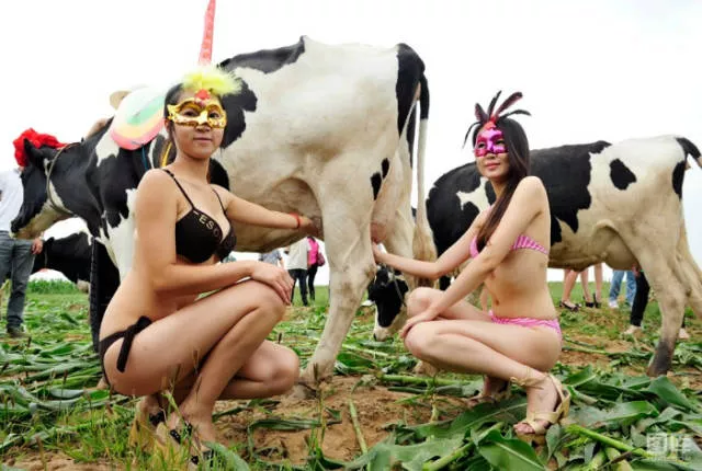 Welcome to china culture and contrast