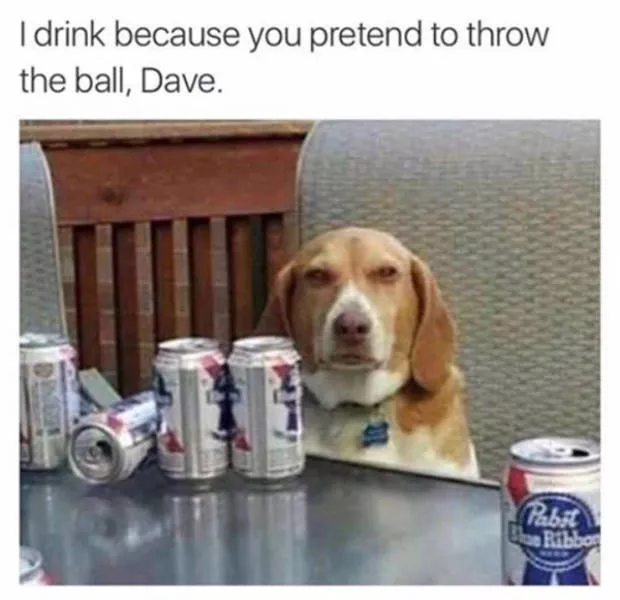 Adult humor best kind of humor - #20 