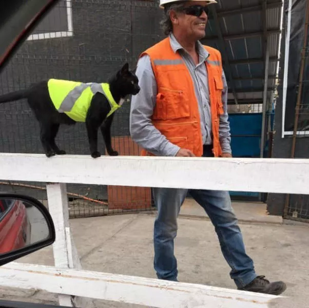 Picdump 208 - #20 