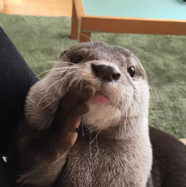 Picdump 209 - #10 