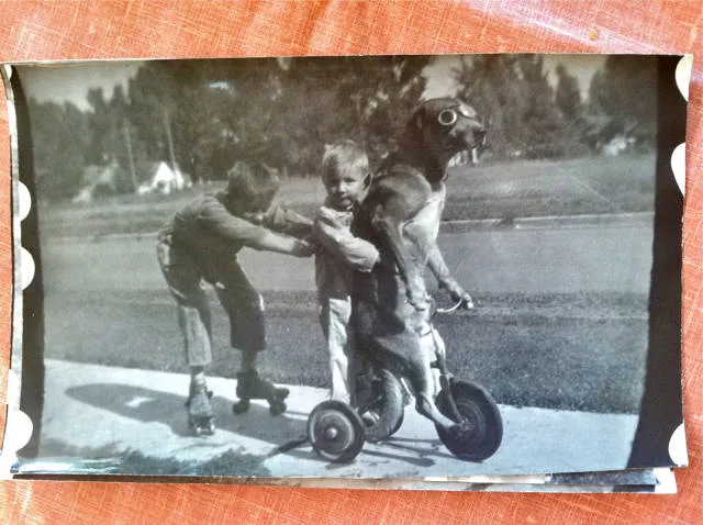Picdump 209 - #19 