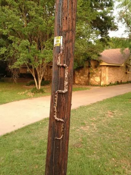 Picdump 209 - #31 