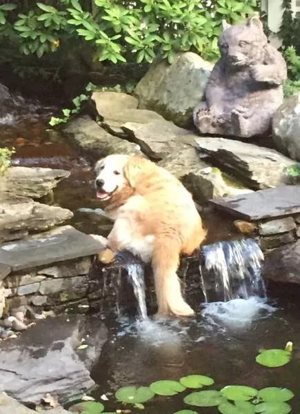 Picdump 209 - #41 