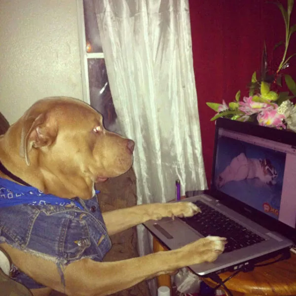 Picdump 209 - #48 