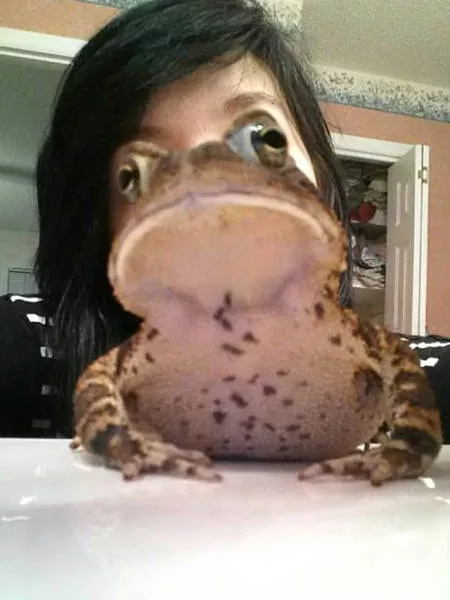 Best pics taken at the right angle - #3 