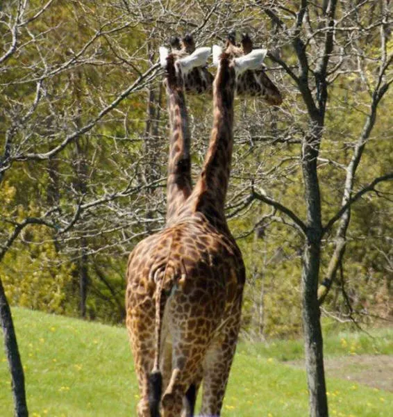 Best pics taken at the right angle - #32 