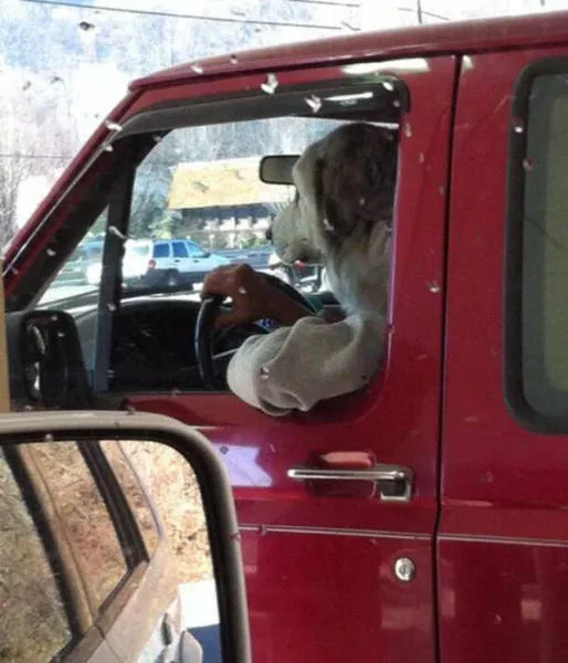 Best pics taken at the right angle - #38 