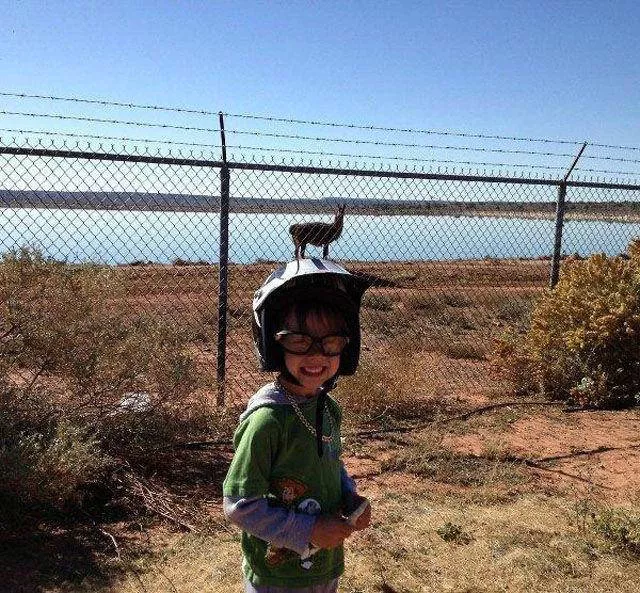Best pics taken at the right angle - #9 