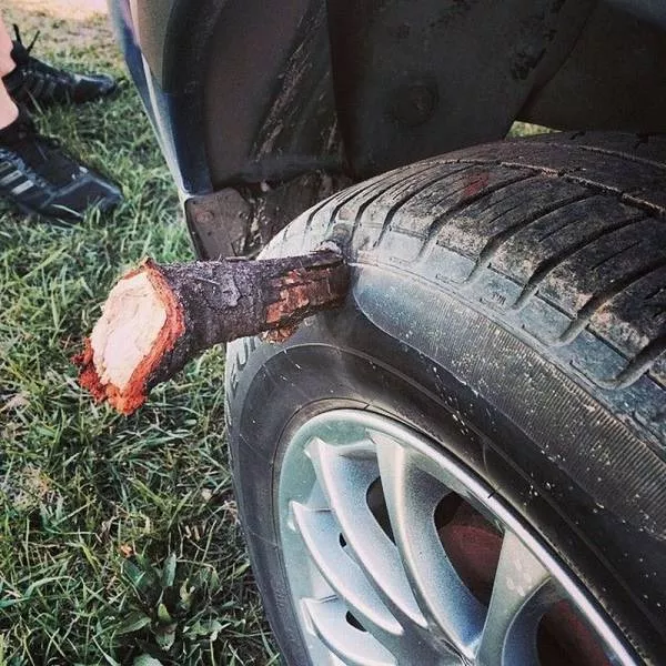 Picdump 210 - #45 