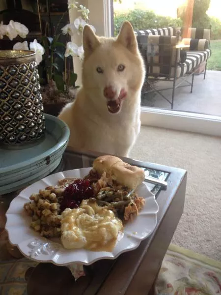 Picdump 210 - #46 