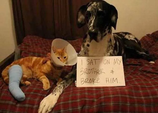 Picdump 210 - #69 