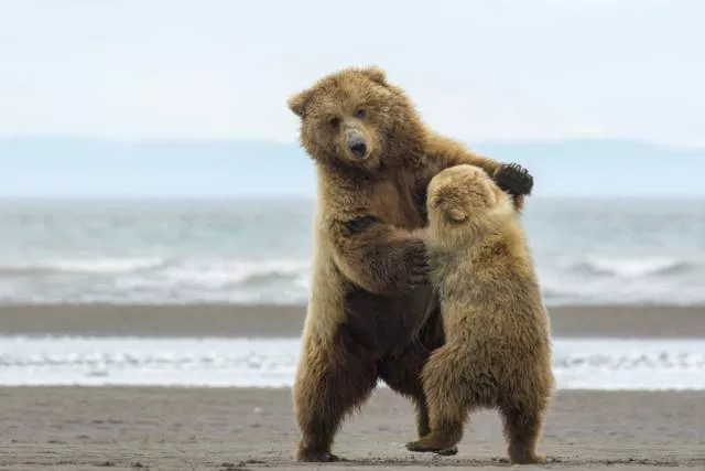 Picdump 210 - #93 