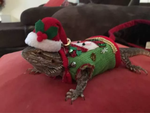 Merry christmas - #11 