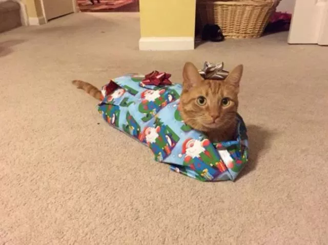 Joyeux noel - #29 Joyeux noel - #29