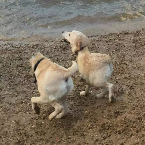Picdump 211 - #1 