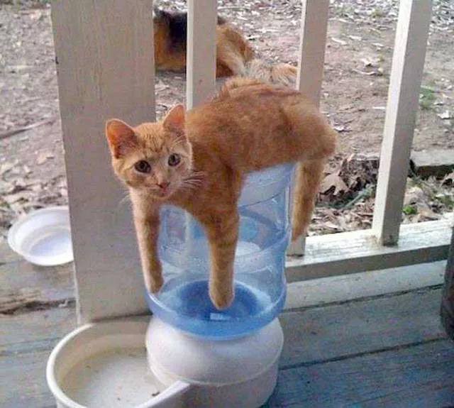 Picdump 211 - #12 