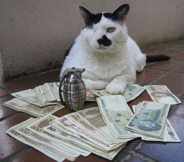 Picdump 211 - #19 