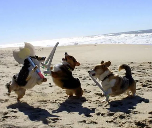 Picdump 211 - #44 