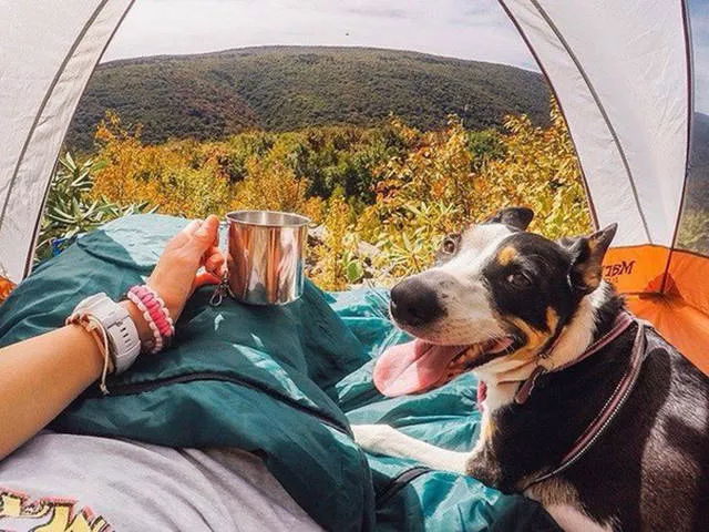 Top des 40 meilleurs photos du net - #10 
