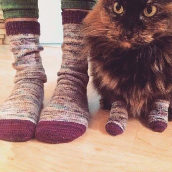 Top des 40 meilleurs photos du net - #11 