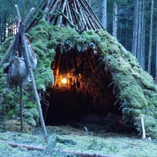Top des 40 meilleurs photos du net - #15 
