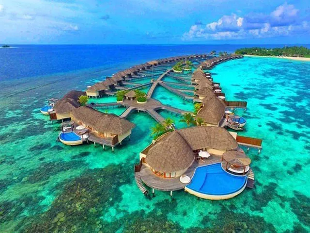 Top des 40 meilleurs photos du net - #22 