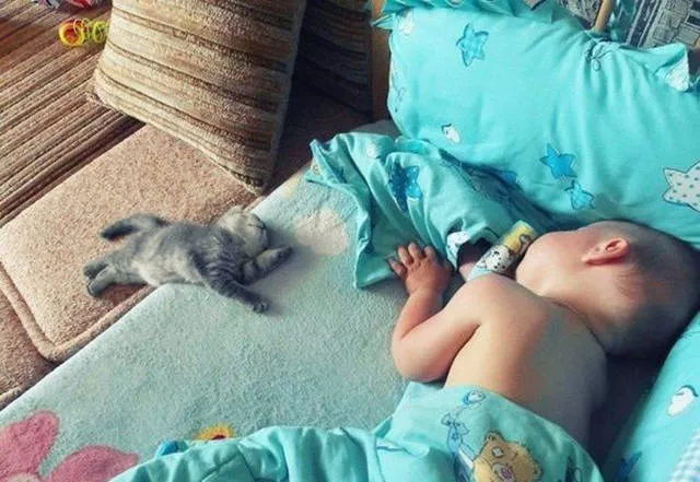 Top des 40 meilleurs photos du net - #26 
