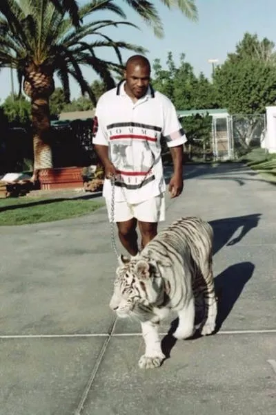 Top 40 best pictures of the net - #27 