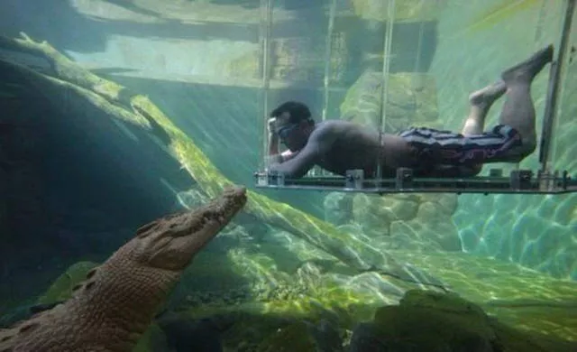 Top des 40 meilleurs photos du net - #28 