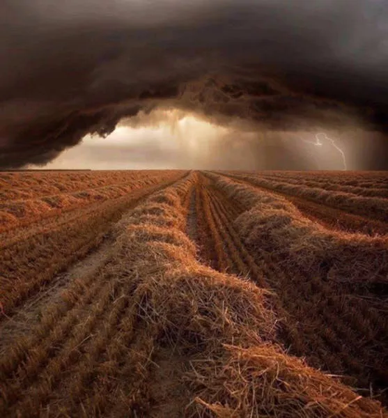 Top des 40 meilleurs photos du net - #38 