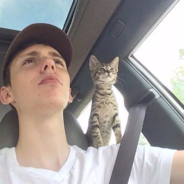 Top des 40 meilleurs photos du net - #9 