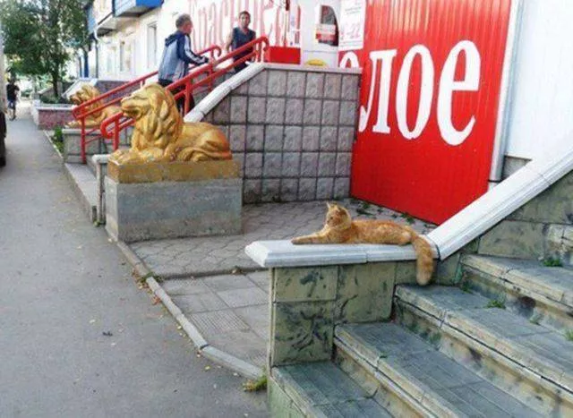 Picdump 212 - #50 