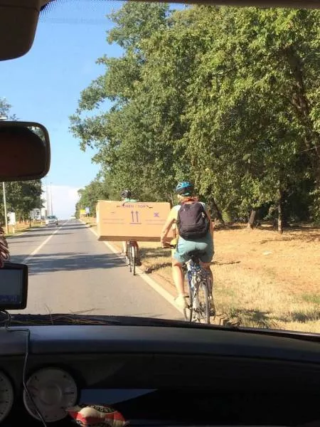 Picdump 212 - #61 