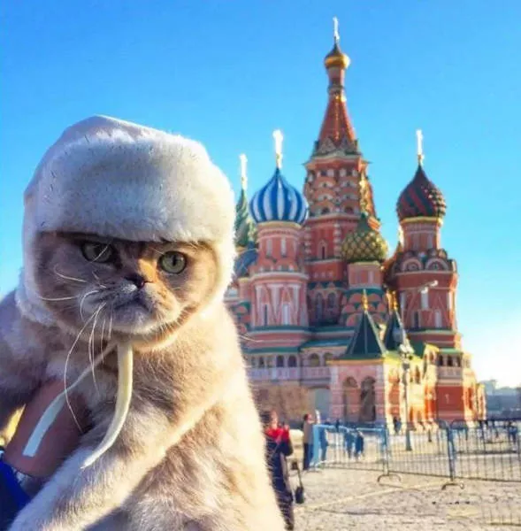 This funny russia  - #19 
