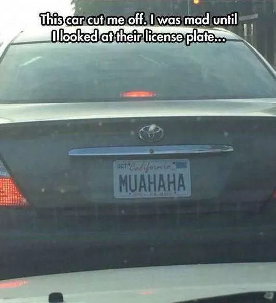 Picdump 213 - #12 