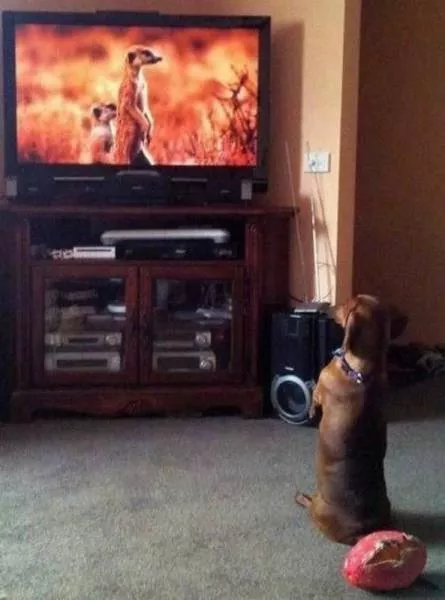 Picdump 213 - #15 