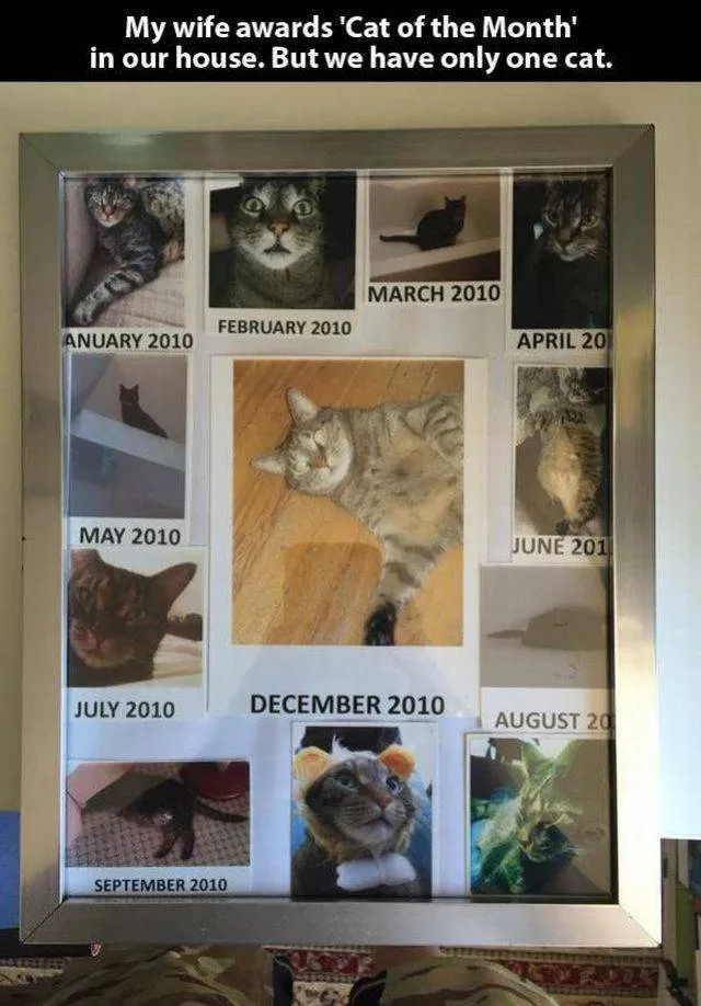 Picdump 213 - #23 
