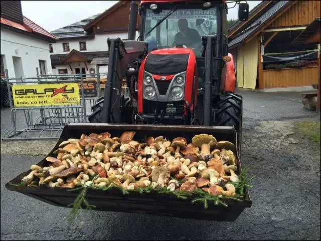 Picdump 213 - #26 