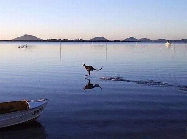 Picdump 213 - #49 