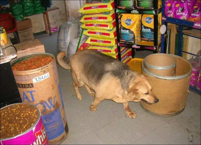 Picdump 213 - #5 