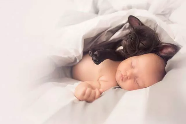 Picdump 213 - #51 