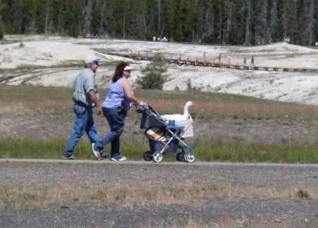 Picdump 213 - #87 