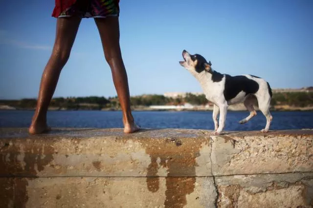 Daily life in cuba in pictures - #23 