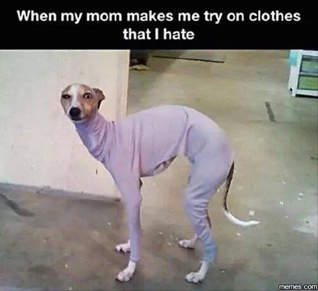 Picdump 214 - #40 