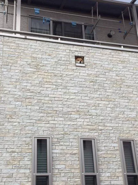 Picdump 215 - #31 