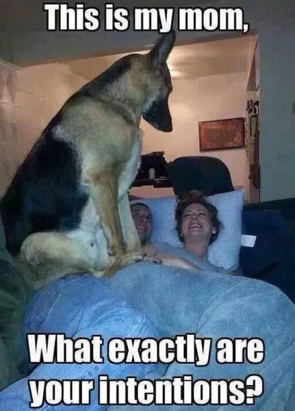 Picdump 216 - #33 