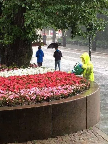 Picdump 216 - #34 