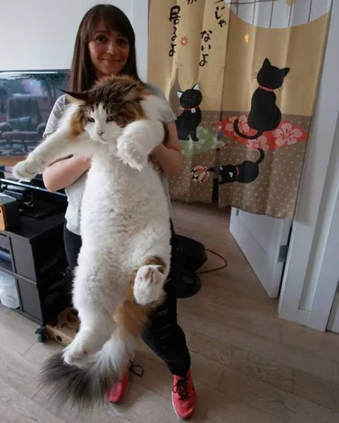 Picdump 216 - #70 
